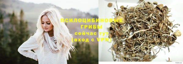прущие крисы Дмитриев