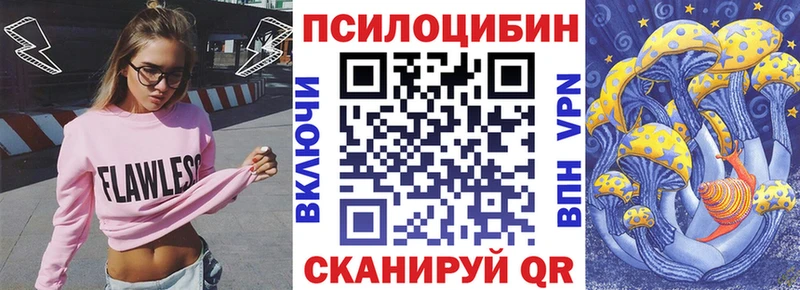 Псилоцибиновые грибы мухоморы  закладка  Заинск 