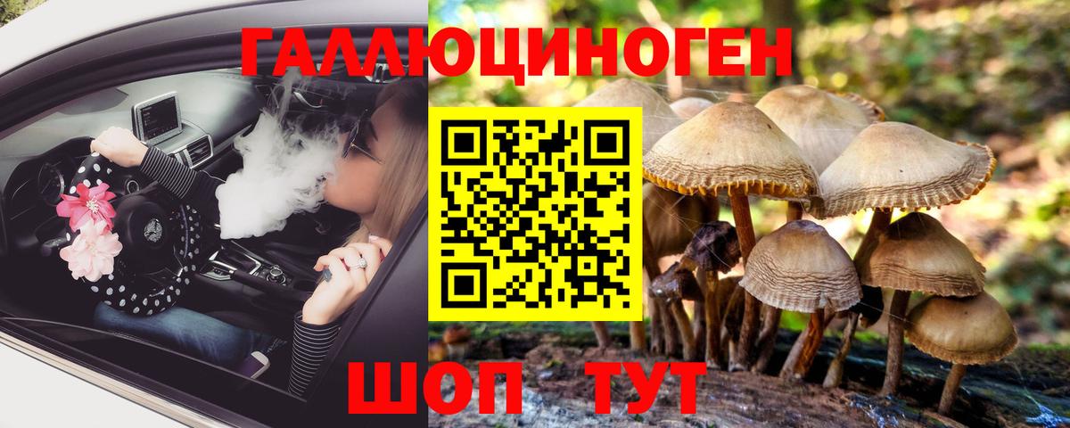 Галлюциногенные грибы Cubensis  Вход с VPN  Заинск 